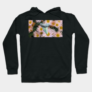 Pink Flowers and Shark Tooth Fossil in the Garden Print Hoodie